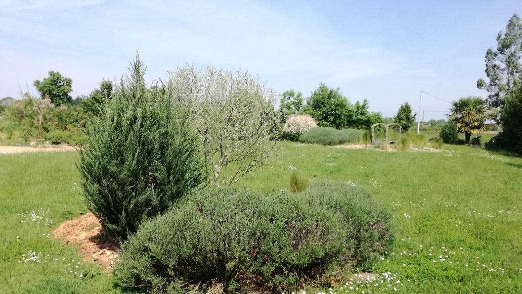 Le Grand Paradis Morannes sur Sarthe-Daumeray Exterior foto
